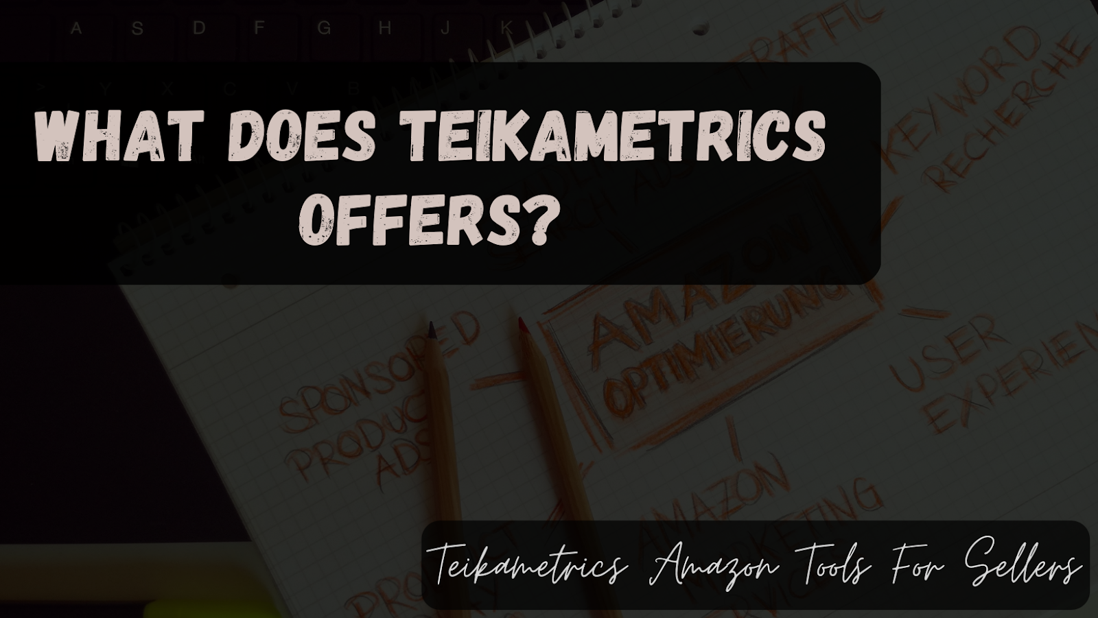 What Does Teikametrics Offers?