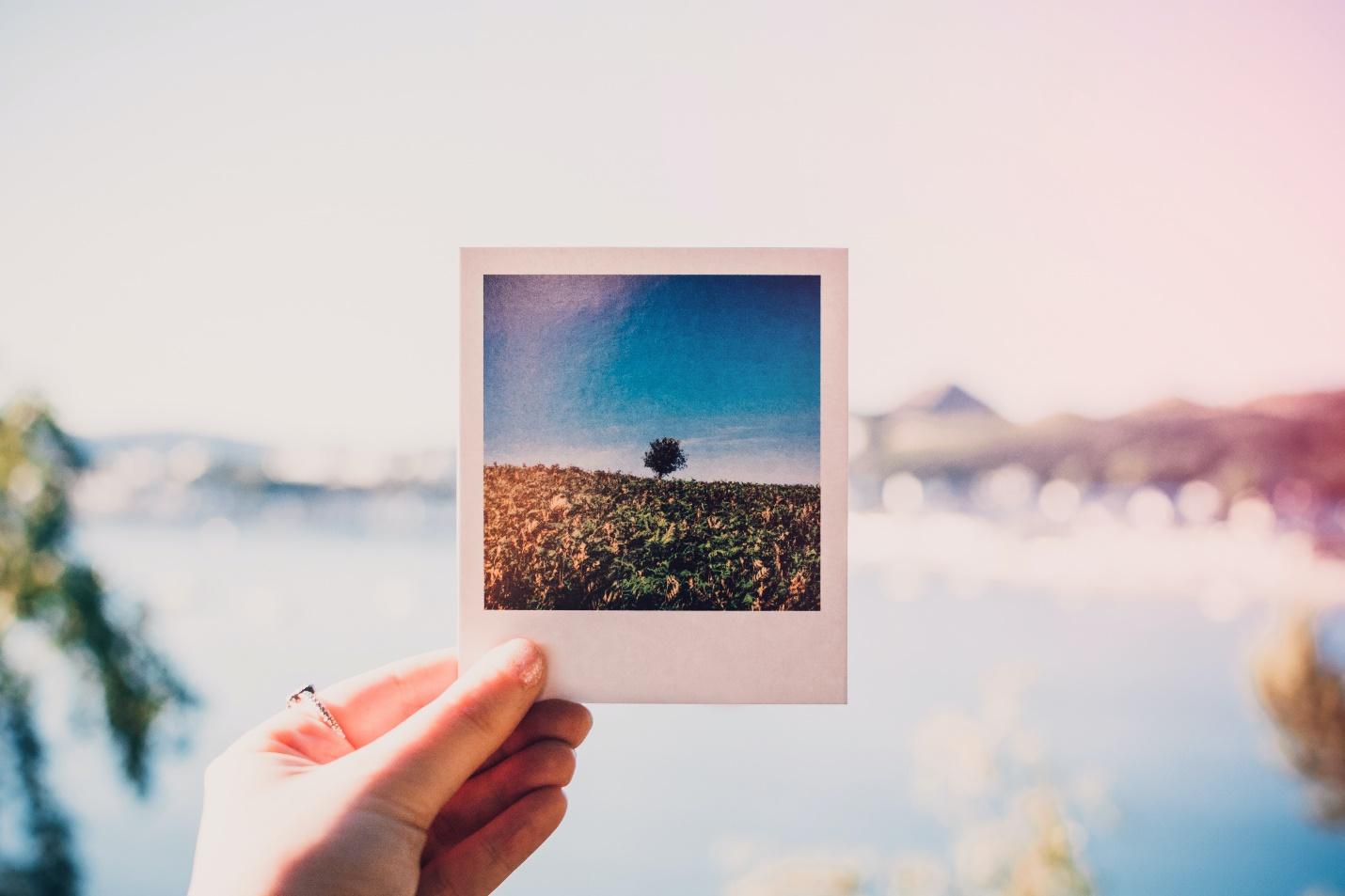 Image Compression Tools: All You Need to Know Softlist.io