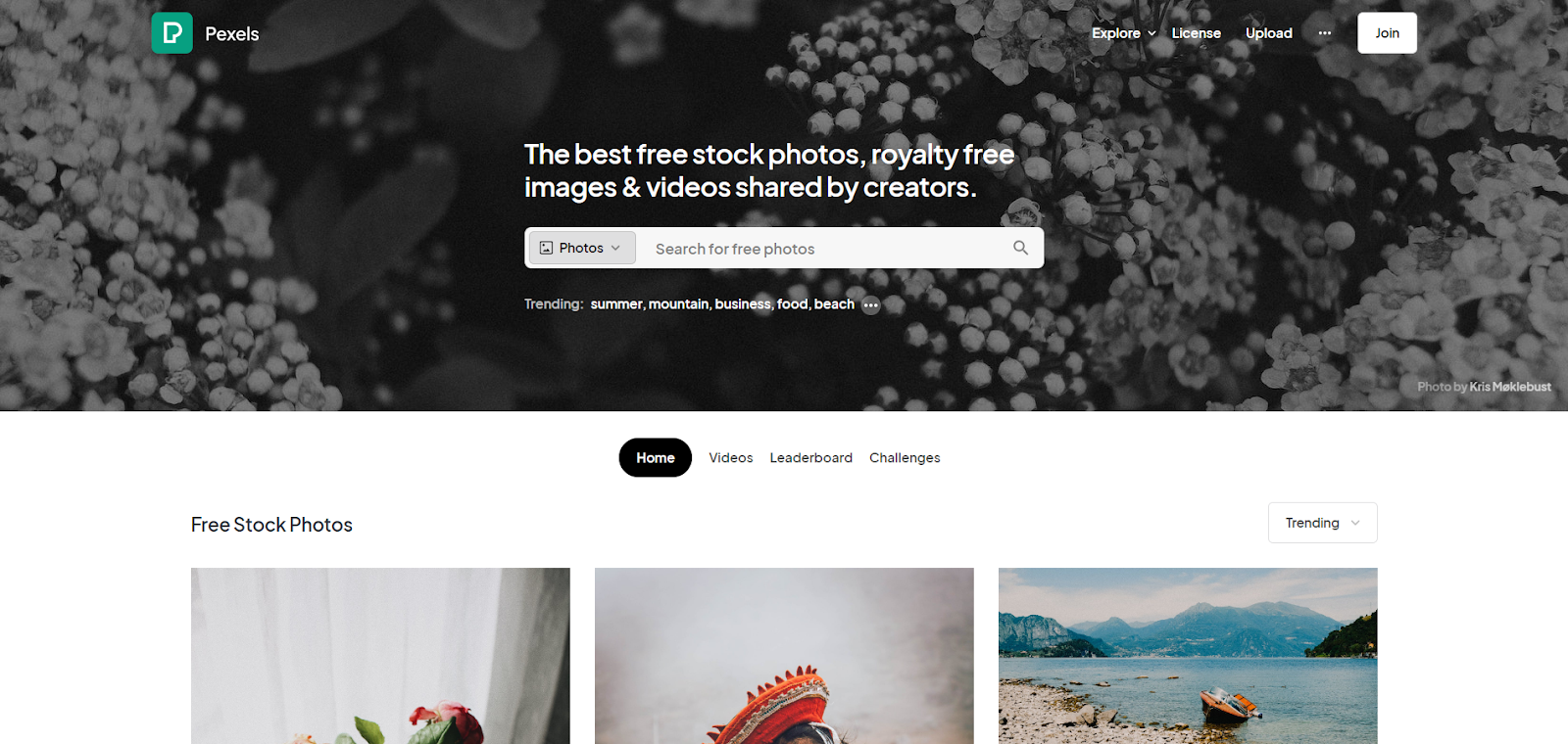 Top 19 Alternatives to Popular Content Creation Tools Softlist.io
