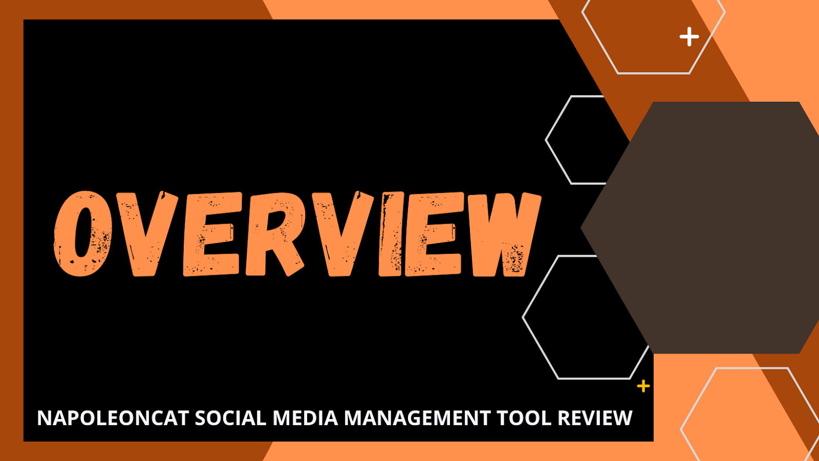 NapoleonCat Social Media Management Tool: Overview