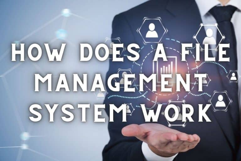 How Does a File Management System Work?
