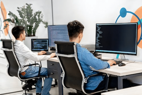 What Is a Database Management Software?