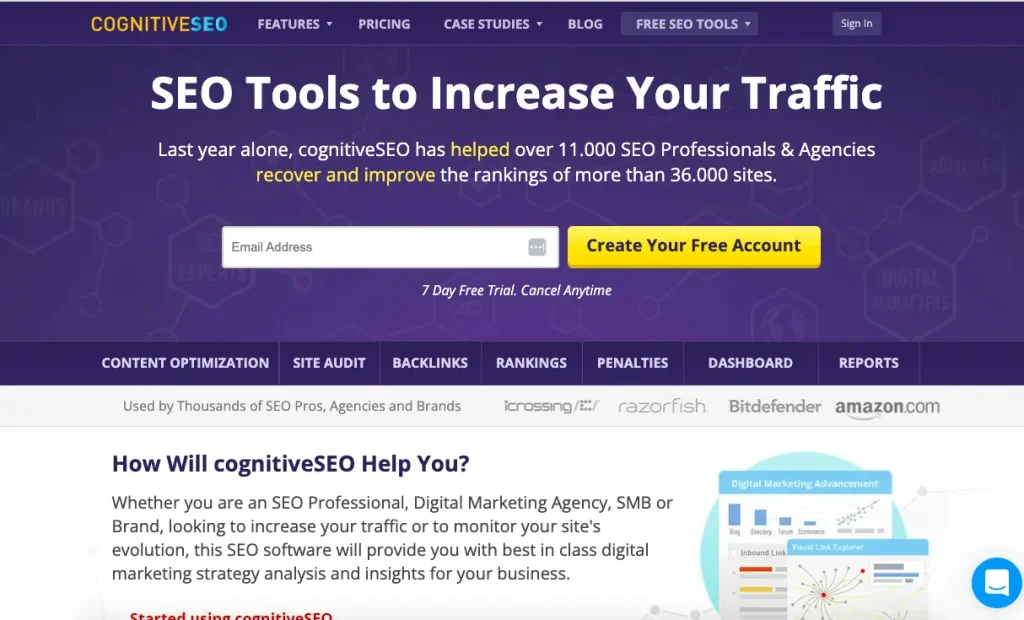 CognitiveSEO