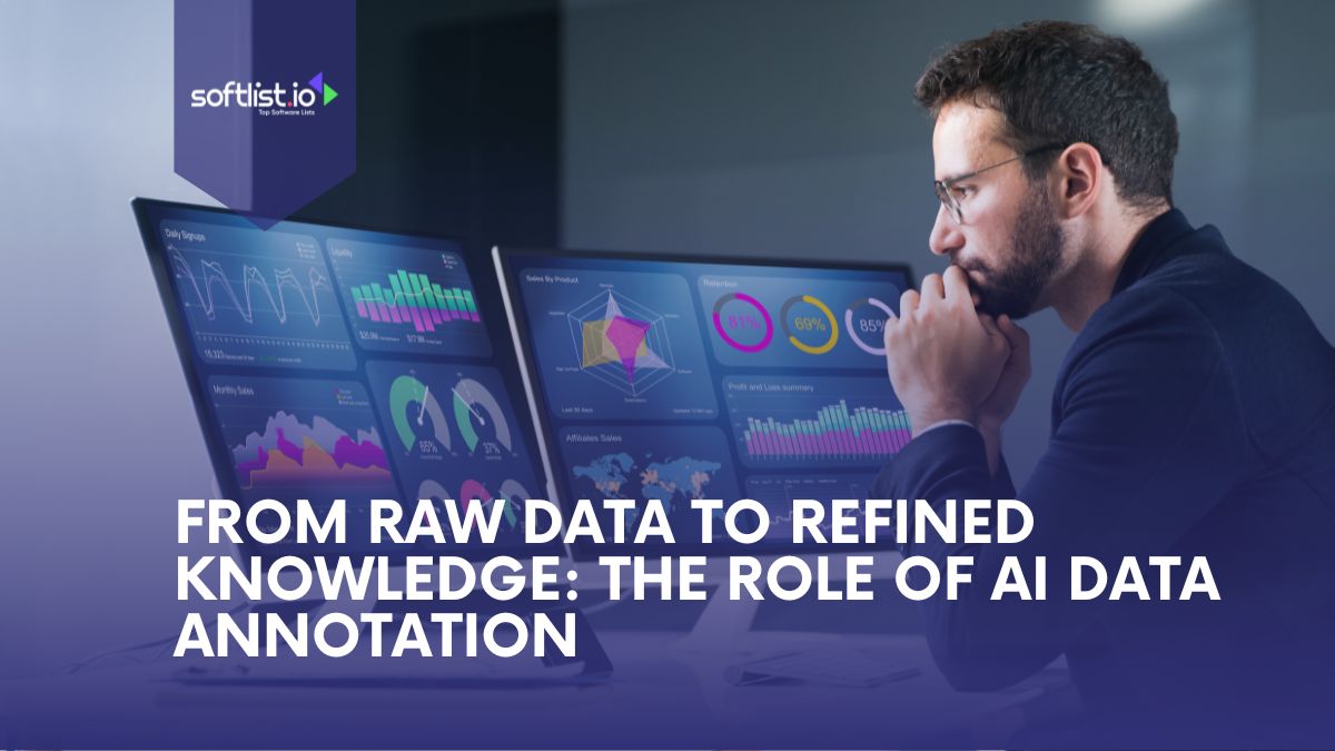 From Raw Data to Refined Knowledge The Role of AI Data Annotation 