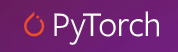 PyTorch Image