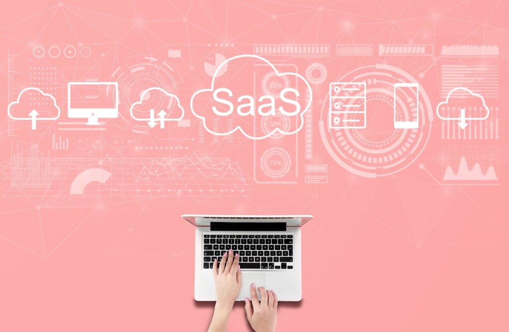 SaaS (Software as a Service) Businesses