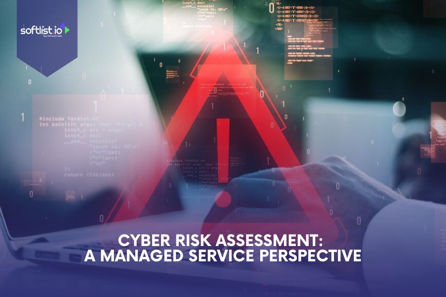 Cyber Risk Assessment: A Managed Service Perspective