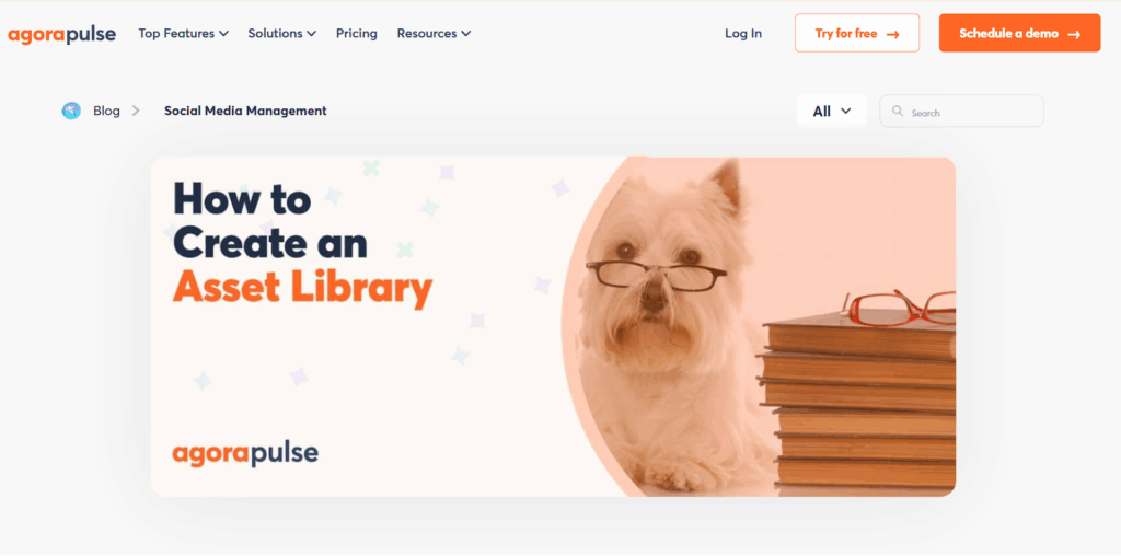 Asset Library and Evergreen Content Strategy