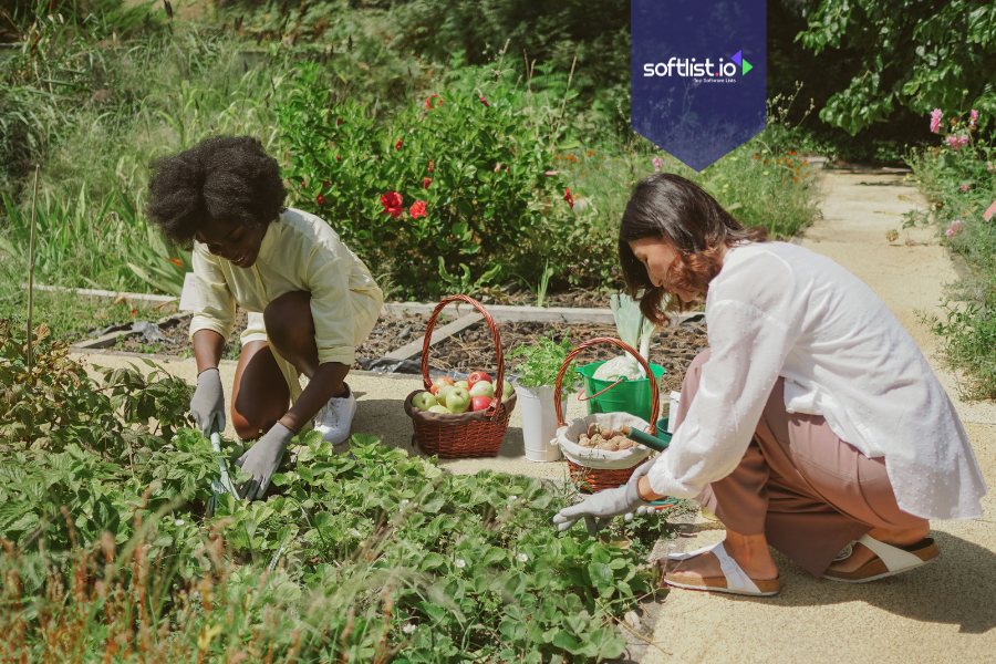 Two women harvesting vegetables and fruits in a garden, symbolizing community-driven business valuation through grassroots engagement and shared efforts.
