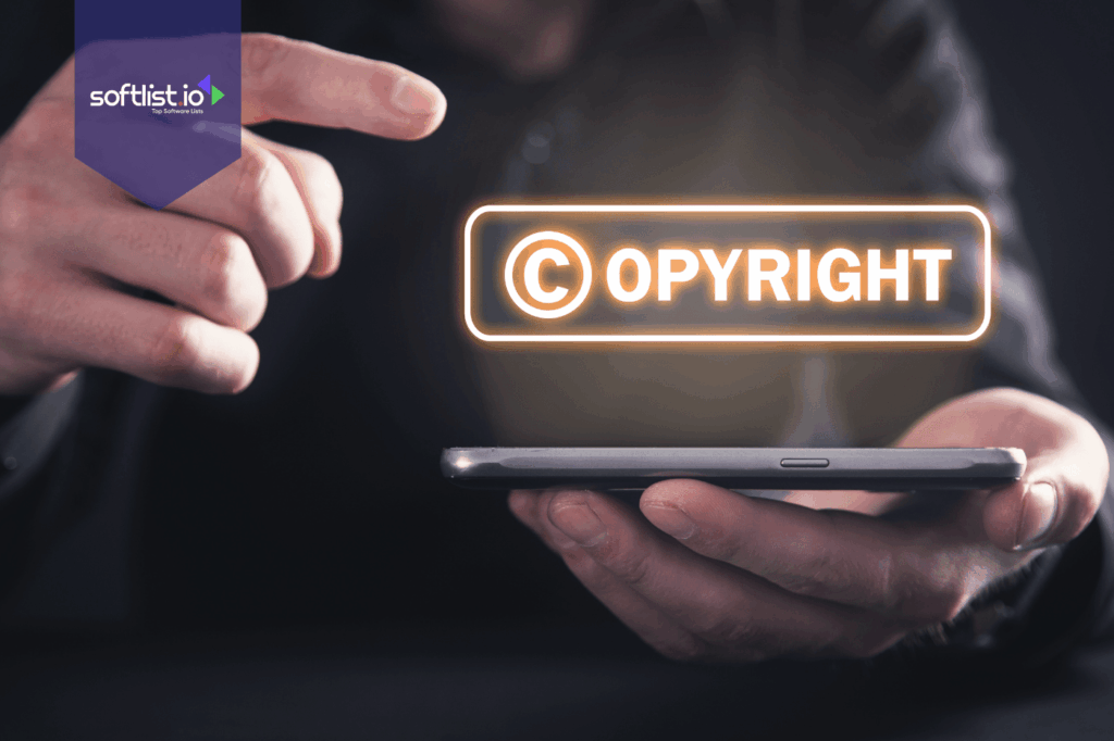 Copyright Considerations and Commercial Usage Guidelines