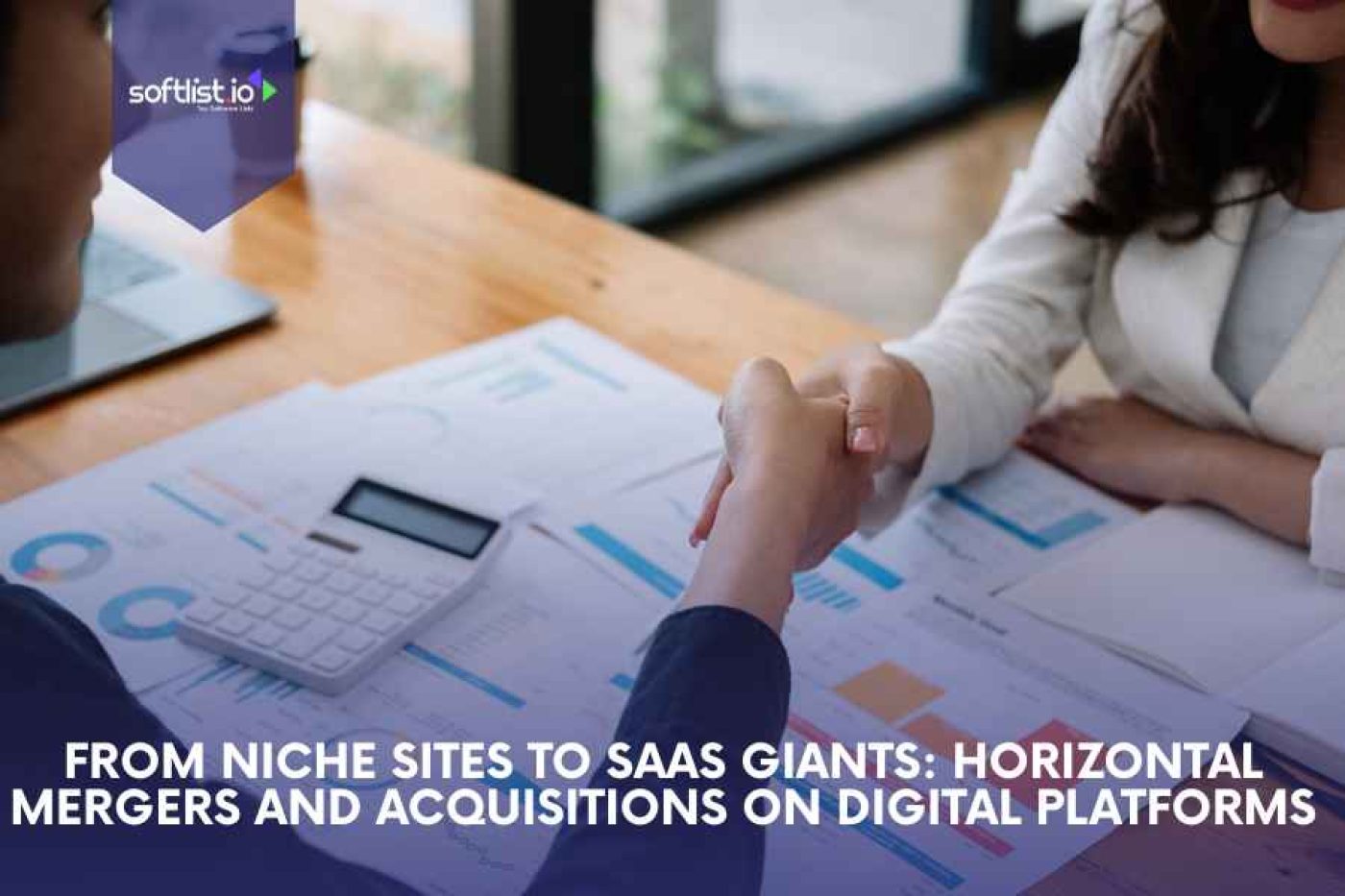 From Niche Sites to SaaS Giants: Horizontal Mergers and Acquisitions on Digital Platforms