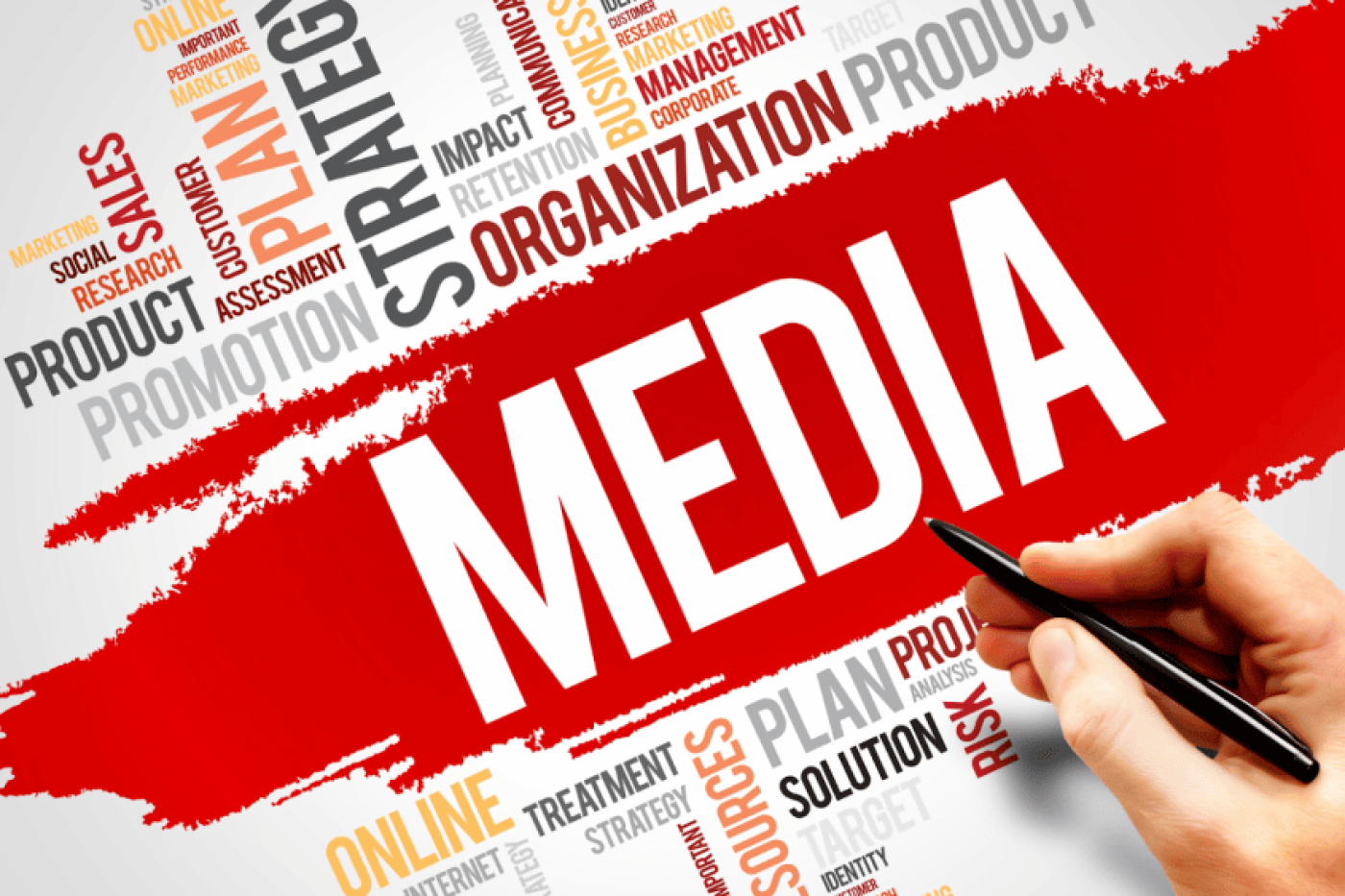 MEDIA: Social media management