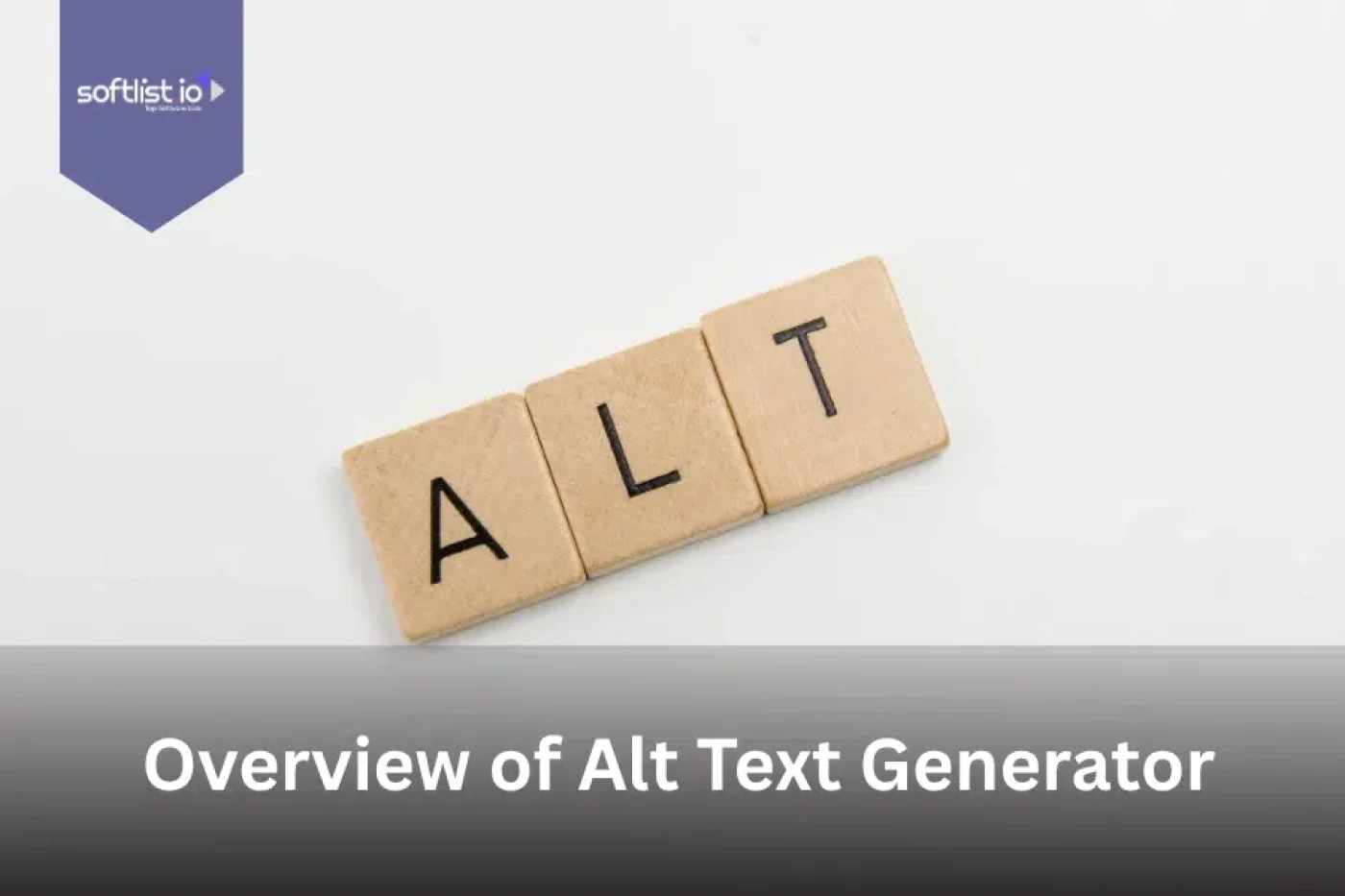 Overview of Alt Text Generator